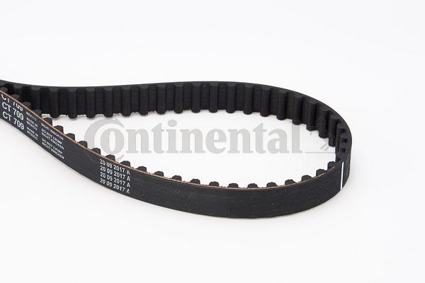 CONTI CT709 Triger Kayişi 095x170 Megane I 96> Clio 91>98 Kangoo 97> 1.2 1.4 1.6