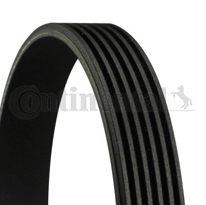CONTI 6PK1000 Kanalli Kayiş C4-C5-P307-P407-Expert-Golf7-A3-Leon 13 > 1.0-1.2-1.4-1.5 Tsi