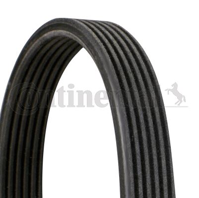 CONTI 6DPK1215 Kanalli Kayiş Vw Caddy 1.9tdi Sdi 8v 04 > 2.0tdi 8v 07 > Transporter T5 1.9tdi 8v 03-09