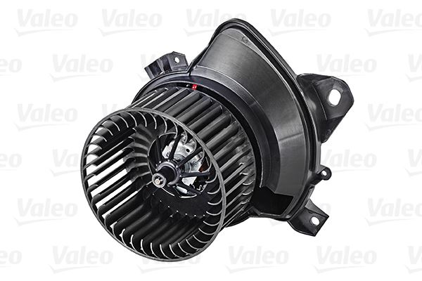 PSA-1611726380 Hava Fani