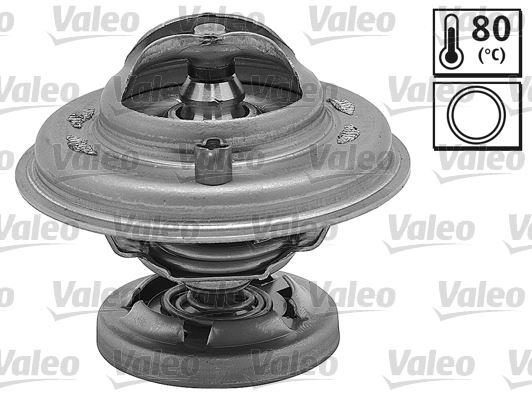 BH TX2980D Termostat 80cc W124-201-202-210/Rexton