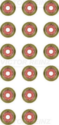 CDF 113V Supap Lastiği Ford-Peugeot-Citroen-Volvo-Fiat 04> 1.6 Tdci