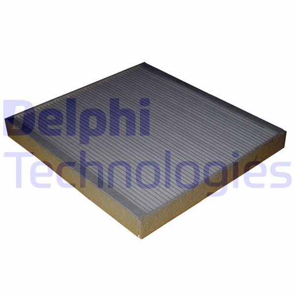 DELPHI TSP0325244 Kabin Filtresi - Citroen Jumper Iii / Peugeot Boxer Iii / Fiat Ducato 06> 04/06>