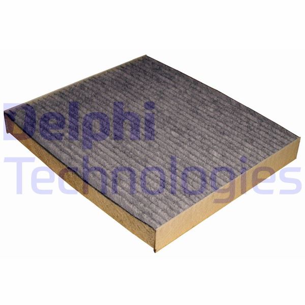 DELPHI TSP0325252C Kabin Filtresi - Karbon - Hyundai Santa Fe - Sonata - Sonica 06> / Kia Magentis 01/05>