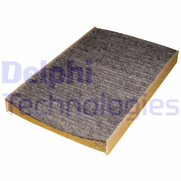 DELPHI TSP0325254C Kabin Filtresi - Karbon - Iveco Daily Iii 06> - Massif 05/06>