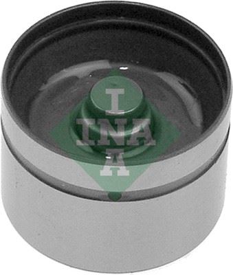 INA 420 0042 10 Supap Iticisi  Bm