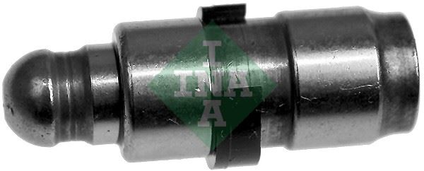 INA 420019510 Supap Iticisi Bmw N20 N55 N43 N52 N51 N54 N53 F30 F31 F34 F35 F80 F32 F33 F36 F82 F83 E60 E61 F07 F1 0 F11 F18 E63 E64 F06 F12 F13 E65 E66 F01 F02 E84 E83 F25 F26 E70 F15 E71 F16 E85 E86 E89