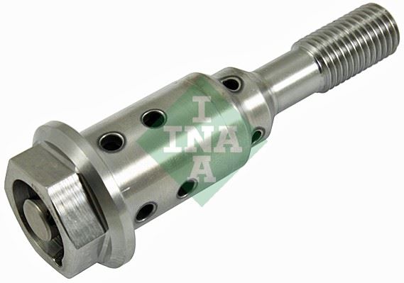 INA 427003810 Eksantrik Mili Vanus Valfi Ford Bmax 1.0 Cmax 1.0 Focus Fiesta Mondeo - 1763041