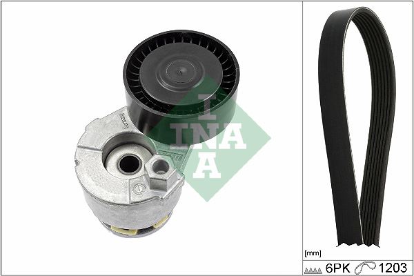 INA 529000910 Alternatör Gergi Kiti Kutuklu Clio Ii 01>06 Fluence 10>Laguna Iii 07>15megane Ii 02>08megane Iii 08> Juke F15 10>Duster 10>Sandero Ii 12> Dokker 12> 1.4 K4j 1.5 Dci K9k 1.6 K4m K026pk1203