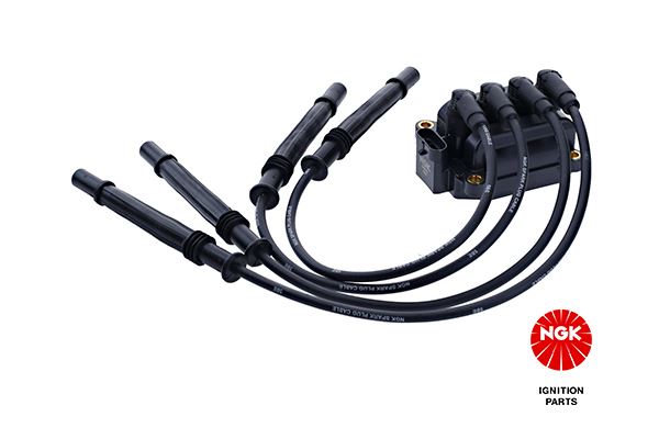 NGK 49075 Ateşleme Bobini Bobin Kablolu Clio Ii-Iii-Kng-Modus-Twng 1.2 16v D4f.7.28 245162