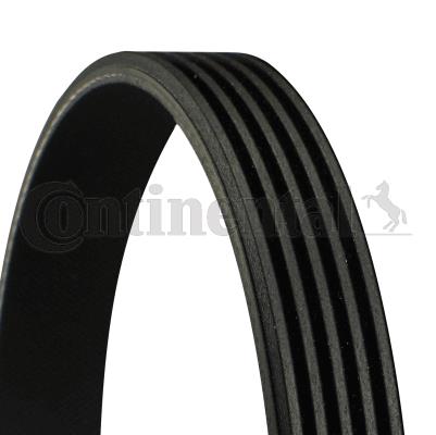 DAY-5PK1310S Kanalli V Kayisi ( Mercedes  A Seri Cdi 04-12 B Seri Cdi 05-11 )
