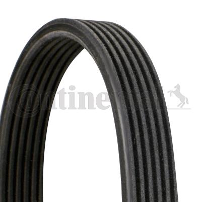 CONTI 6DPK2215 Cift Kanalli Kayis Mercedes W639 B906 Start-Stop Lu