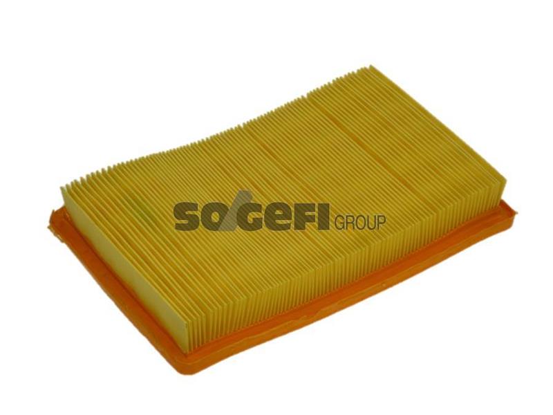 PURFLUX A1369 Hava Filtresi