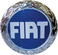 AYH-A5109 Panjur Arma Kucuk Pimli-Bantli Cap 65 Mm ( Fiat   Albea Palio Ym )