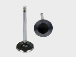 GUNES 6448-6449 Subap Emme Egzoz Nissan Micra 1.2-1.4 16v Cr12de-Cr14de In-8/Ex-8