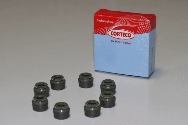 COR 19020622 Supap Lastigi Takimi 5 Mm Doblo-Linea-Albea-G.Punto