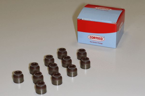 ELR-439.530 Subap Lastigi 5.5mm  Subaru Xv 12-