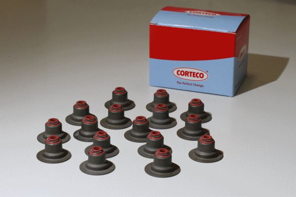 CORTECO 19037055 Subap Lastiği 20 Adet Astra H-J-Combo D-Insignia A-Vectra C-Zafira C-Movano C-Antara-Captiva-Cruze -Ducato-Doblo-500l 1.6-1.9-2.0-2.2 Cdti-Mtj