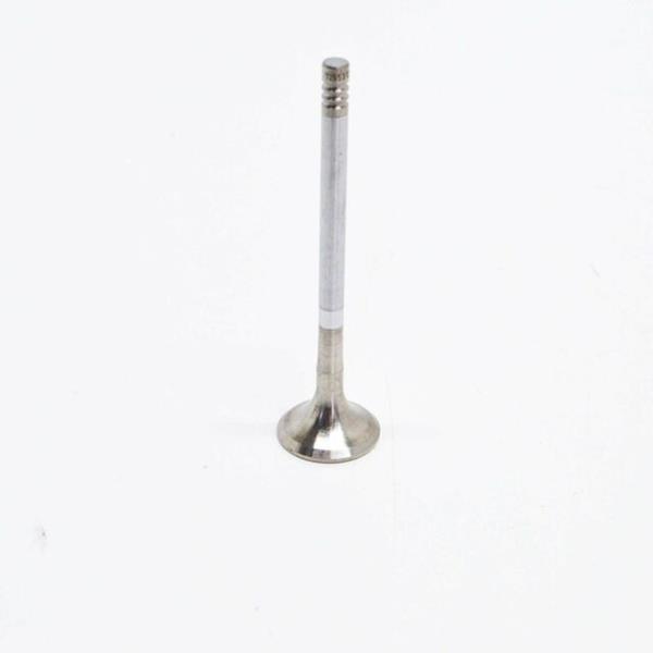 OZG TVG4424 Supap Gaydi 6 Mm 24 Adet Land Rover Range Rover Discovery Iii - Sport