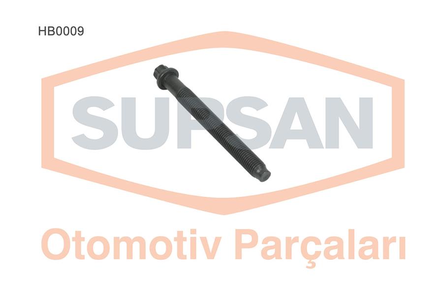SUS-HB0009 Saplama Seti Express Clio  Megane 1.9 D  Laguna 1.8 Megane 2.0 R11 Flash  R21 Mana