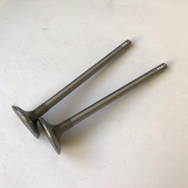 SUPSAN V0033582-05 Supap Vw Passat 2.5 Tdi Eng. Afb-Akn Audi A4-A6-A8 2.5 Tdi Eng. Afb-Ake-Akn