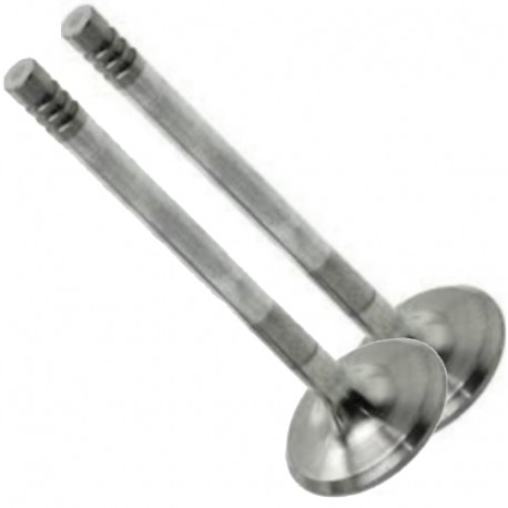 SUPSAN V0033583-06 Supap Vw Passat 2.5 Tdi Eng. Afb-Akn Audi A4-A6-A8 2.5 Tdi Eng. Afb-Ake-Akn