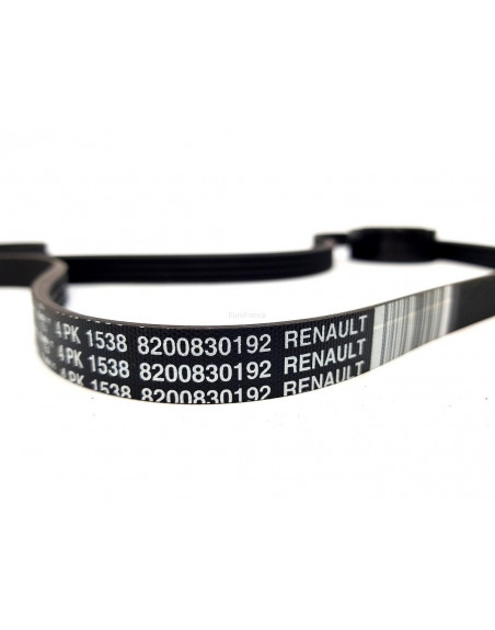 117209538R Aksesuar Kayisi 7pk1165