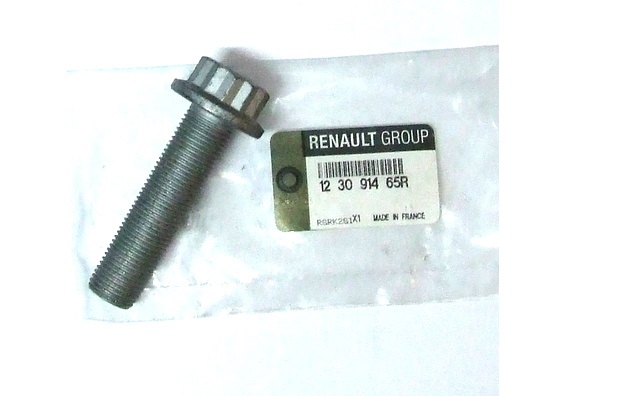 123091465R Krank Civatasi