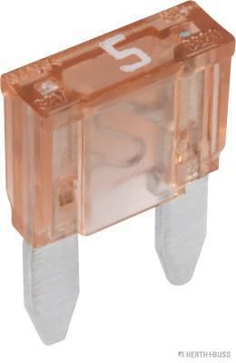 7700410572 Ayakli Sigorta 5 Amp