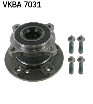 BSG 60-600-024 Porya Arka Rulmanli Komple 176-246-117-156