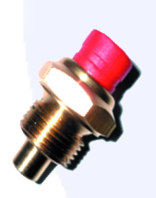 ENG.240103 (Sc)     Hararet Müşürü Renault   10