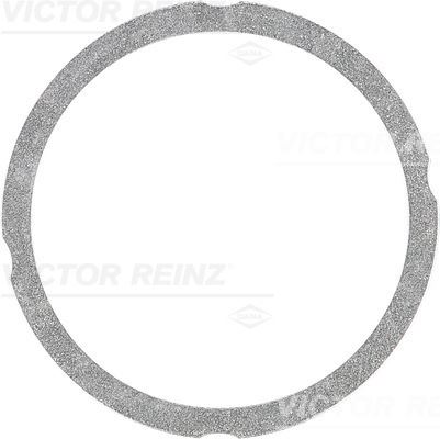 V.REINZ 612547530 Silindir Kapak Conta Deutz-Fahr / Fendt / Kramer Traktör
