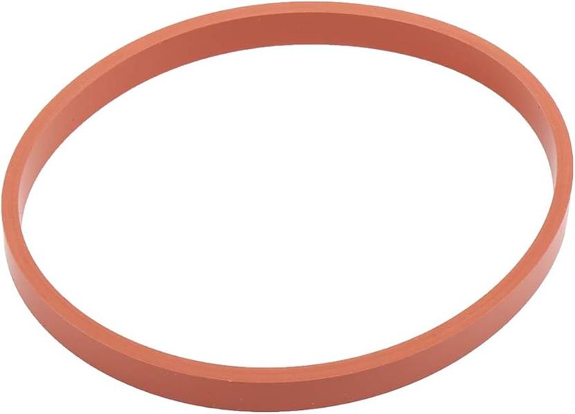 55564973 Seal