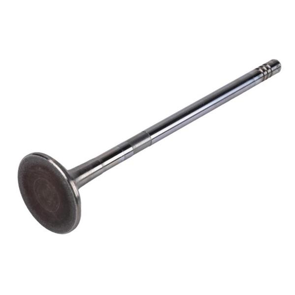 PSA-55569934 Kapak