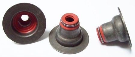 55574221 Supap Lastigi  Aveo T250/T300 Cruze Trax