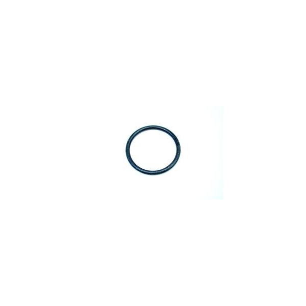 PSA-1319.N4 Oring