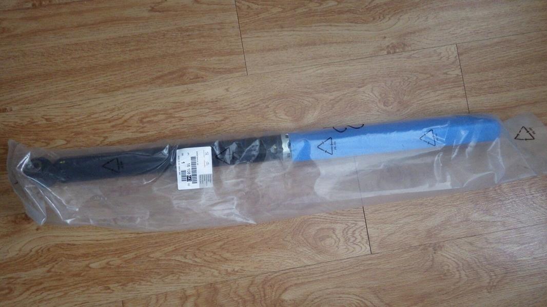 BSG 70-300-029 Amortisör Arka  C1 / 107