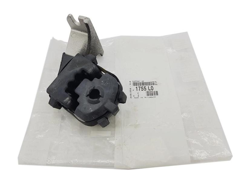 PSA-1755.L0 Egzoz Qs