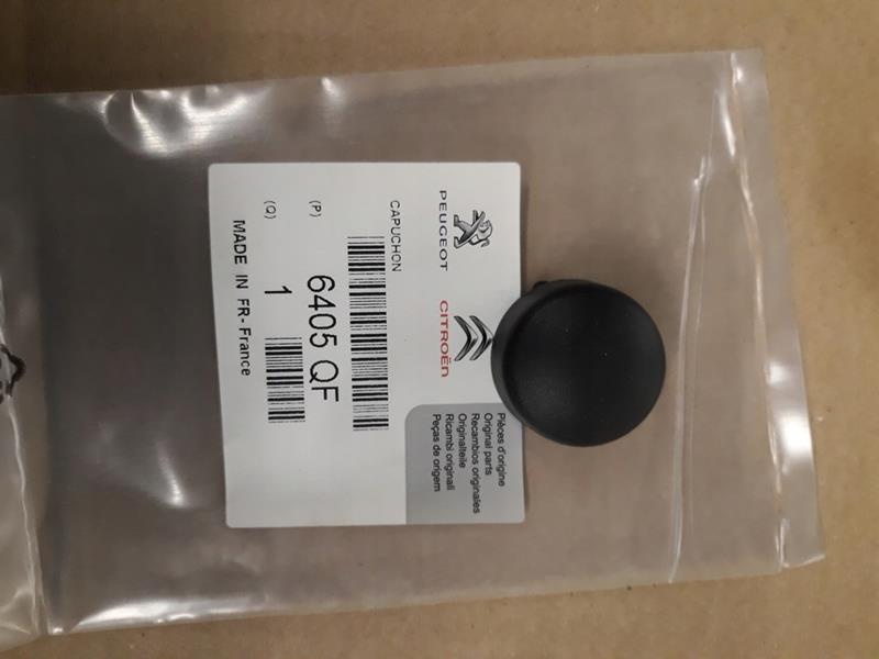 PSA 6405.QF Silecek Kol Somun Kapaği Peugeot-Citroen