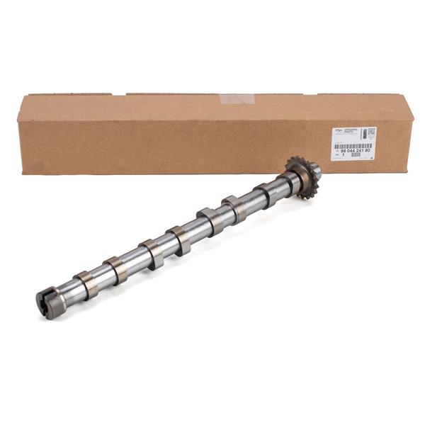 PSA 9804424180 Eksantrik Mili Emme Mondeo V 14>2.0 Tdci Kuga Ii 14>18 2.0 Tdci C4-13>C5 18>Ds4 14>Ds5 14>Jumpy Iii 14>3008-308-5008-508-Expert -2.0 Bluehdi