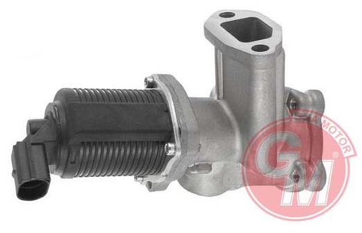 GUA 41140 Egr Valfi 500-500c-Idea-Panda-Musa 02/2004 > 12/2012