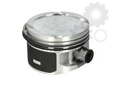 FM 87-436900.00 Piston+Segman 17 Ø  (76,5 Mm) Polo-Cordoba-Fabia