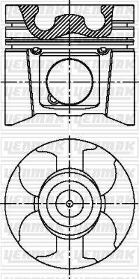 8771828STD Piston+Segman Master/Movano 2,5 Dci 16v Std 0,20 Mm Kisa (G9u Motor)