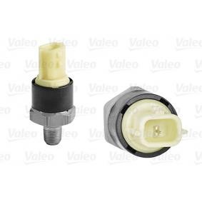 SOMAG 252405053R-I Yağ Basinç Müşiri 0.9 Motor Clio Iv İçi Orijinal