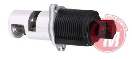 GUA 41505 Egr Valfi Renault Clio Ii 98> Kangoo 98> Megane Ii 02> Clio Iii 05> 1.5dci Master Ii 01>10 Movano 0 1> Laguna Ii 01> 2.2dci / Nissan Micra 1.5l K9k K12 03-10