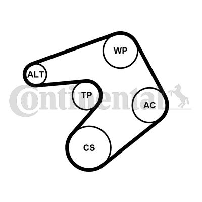 CONTI 6PK1244K1 Alternatör Gergi Kiti 6pk1245 Zafira-Vivaro C-P3008-P308-P5008-P508-P407-Expert-C4-C5-C8-Ds4- Ds5-Jumpy-P508-P407 2.0 Hdi 165-2.0 Hdi 06>