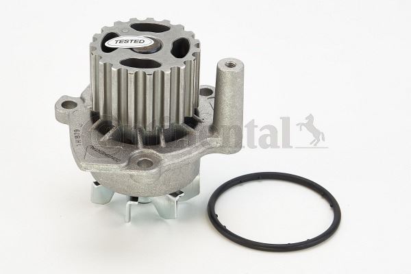 CONTI WP6001 Devirdaim