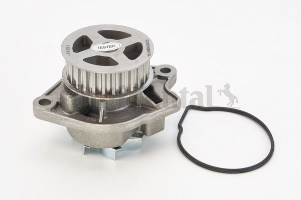 CONTI WP6004 Devirdaim