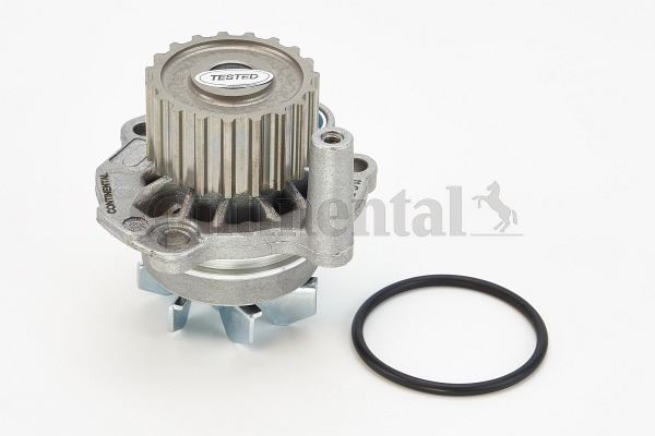 CONTI WP6005 Devirdaim