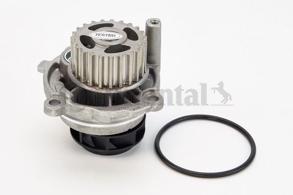 CONTI WP6010 Devirdaim